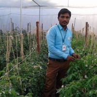 Kishor Tangade