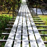 Tarea Roach-Pritchett, CPP