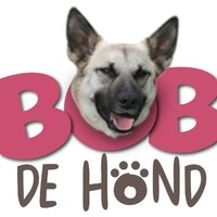Bob de Hond