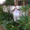 Mapale Selomo