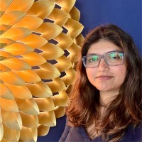 Ameeta Sharma Menon