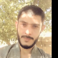 حسام الربيع