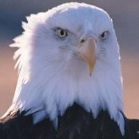 Akanzy Ali Ali Kasal