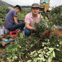 黄忠文