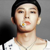 杨晓帆