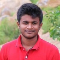 ANANTH KUMAR N