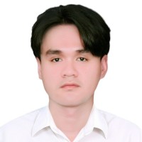 Vinh Nguyen Hoang