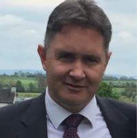 Mark Bird