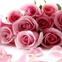 Samina S