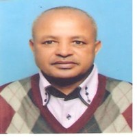 shibeshi gebremariam gebresellasse