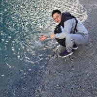肖正阳