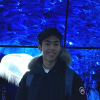 Matthew Ng