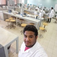 زيد الشريف