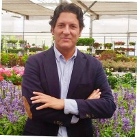 Alex Fernández Roldán