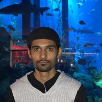Muhammad Zeeshan Ahmed