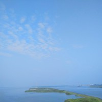 郭紫嫣