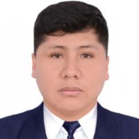WILLIAM WALTER CASTILLO MAMANI