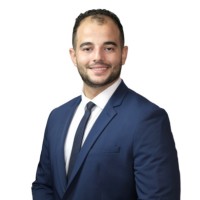 Ahmed Fekri Hassan