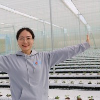 Lily Gao