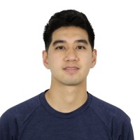 Vi Phan