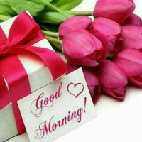 S Qureshi