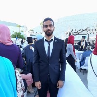 Mahmoud Adel