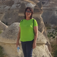 Nurcan Aldemir