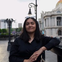 Ximena M. Castro Razo