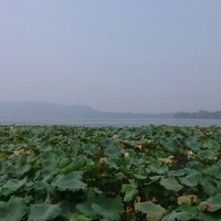 梁江波
