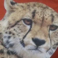 Trebor (Bob) Ecurb (Bruce)