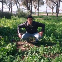 omar oulhour
