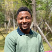 Olumide Olowe
