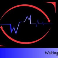 Wakingmind Pictures Inc