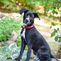 Greg Waters