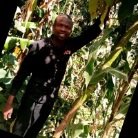 Nakuru Gazebo