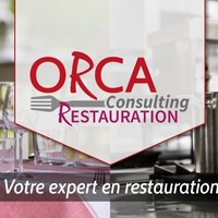orca consulting