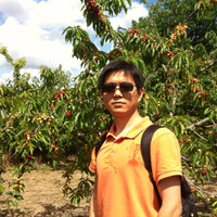 Yi Cui