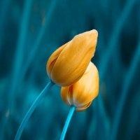 王忠良
