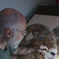 Stuart Watt