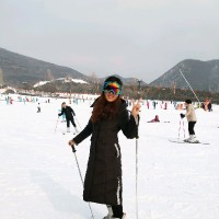 刘雪平