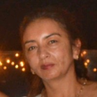 Sandra Liliana Perez Medina