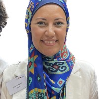 Doaa Elseaudi