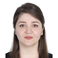 Mina Barmaki