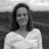 Ilse Van Zuilen