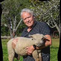Steve Storrs
