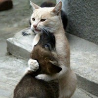 Davina Marillier-Reddy