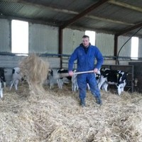 Sjoerd van der Werff