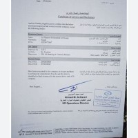 ALI ALDOSARY