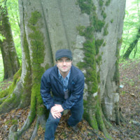 Masoud Taefi Feijani