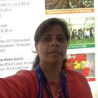 Asha Chaubey